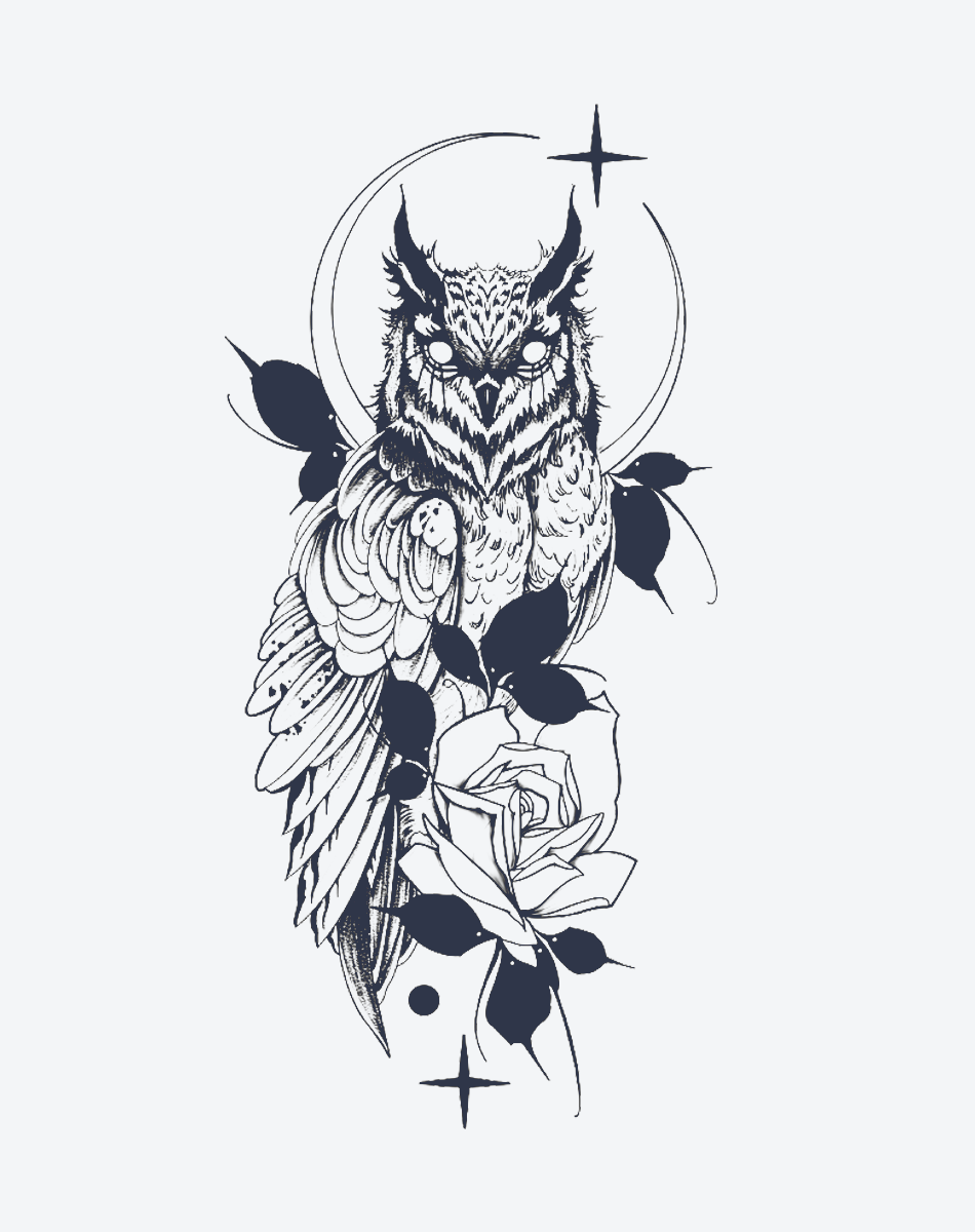 Nocturnal Wisdom
