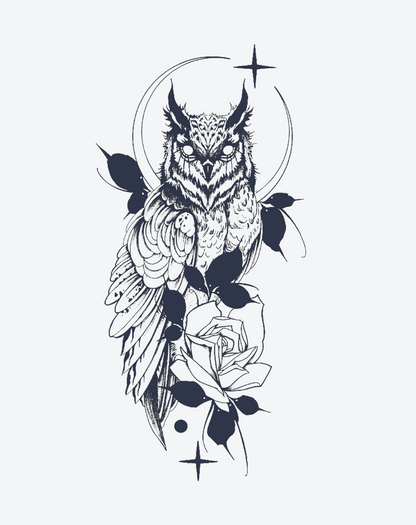 Nocturnal Wisdom