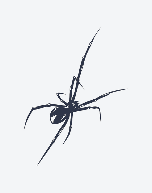 Spirit of the Spider