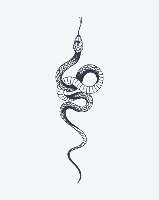 The Charm of the Serpent