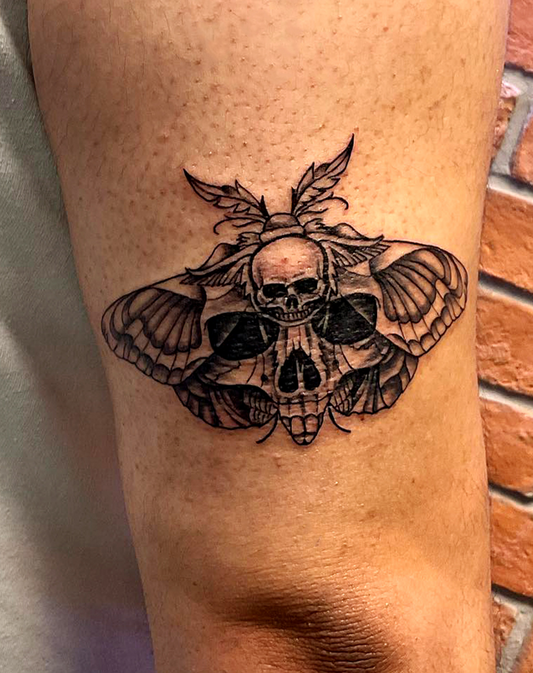 Moth