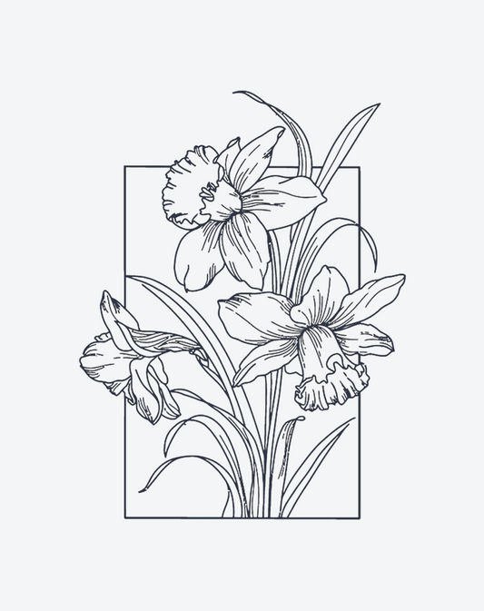 lily