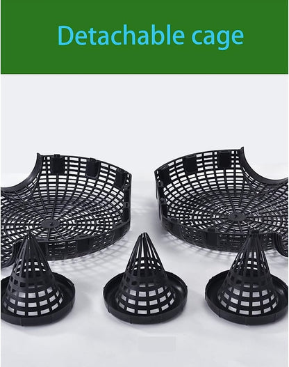 Upgrade Fish Trap
