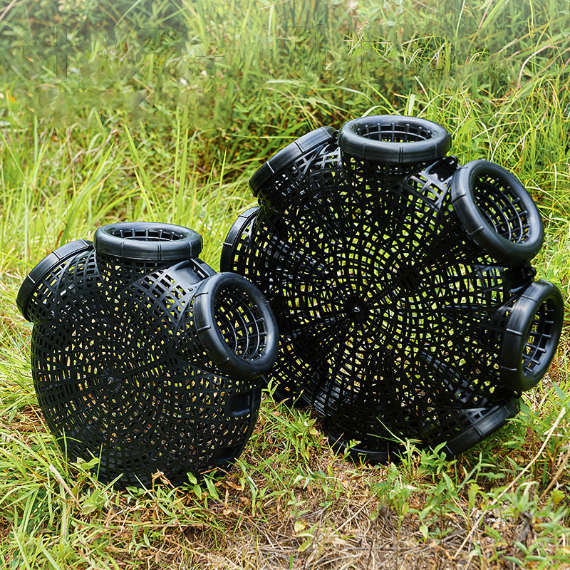 Upgrade Fish Trap
